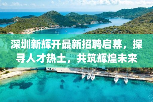 深圳新輝開最新招聘啟幕，探尋人才熱土，共筑輝煌未來