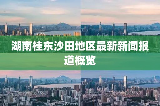 湖南桂東沙田地區(qū)最新新聞報道概覽