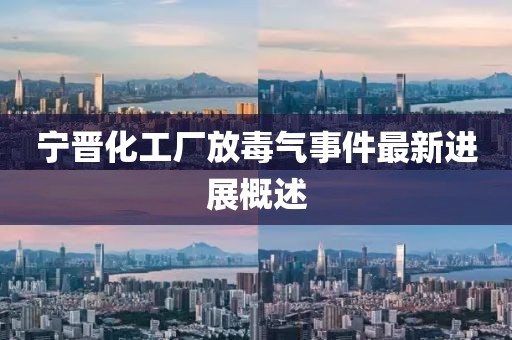 寧晉化工廠放毒氣事件最新進(jìn)展概述