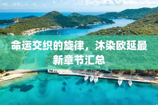 命運(yùn)交織的旋律，沐染歐延最新章節(jié)匯總