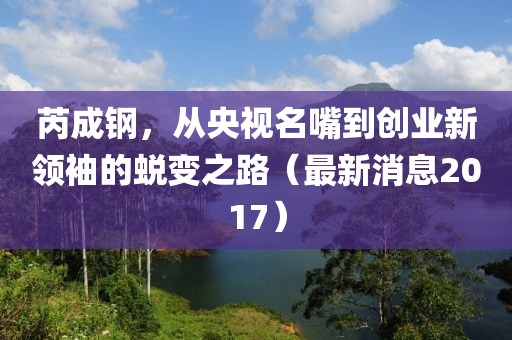 芮成鋼，從央視名嘴到創(chuàng)業(yè)新領(lǐng)袖的蛻變之路（最新消息2017）