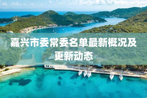 嘉興市委常委名單最新概況及更新動態(tài)