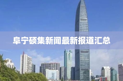阜寧碩集新聞最新報(bào)道匯總