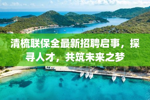 清梳聯(lián)保全最新招聘啟事，探尋人才，共筑未來(lái)之夢(mèng)
