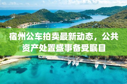 宿州公車拍賣最新動(dòng)態(tài)，公共資產(chǎn)處置盛事備受矚目