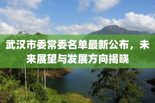 武漢市委常委名單最新公布，未來(lái)展望與發(fā)展方向揭曉