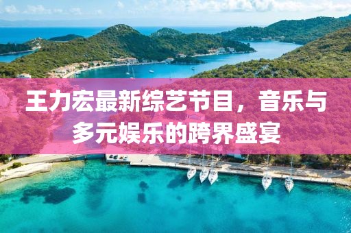 王力宏最新綜藝節(jié)目，音樂(lè)與多元娛樂(lè)的跨界盛宴