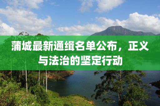蒲城最新通緝名單公布，正義與法治的堅定行動
