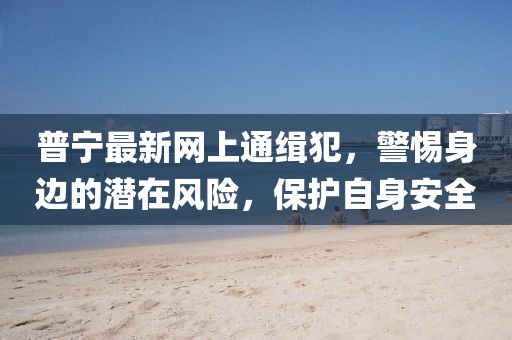 普寧最新網(wǎng)上通緝犯，警惕身邊的潛在風(fēng)險(xiǎn)，保護(hù)自身安全