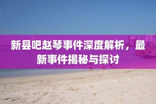 新縣吧趙琴事件深度解析，最新事件揭秘與探討