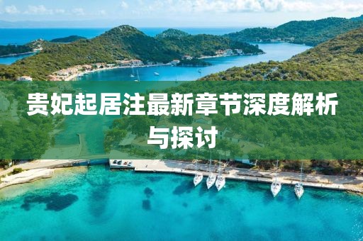貴妃起居注最新章節(jié)深度解析與探討