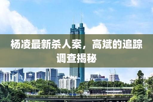 楊凌最新殺人案，高斌的追蹤調(diào)查揭秘