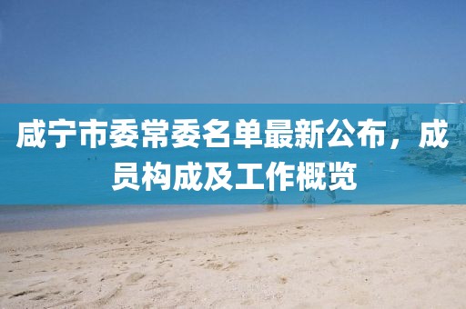 咸寧市委常委名單最新公布，成員構(gòu)成及工作概覽
