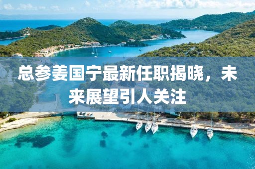 總參姜國(guó)寧最新任職揭曉，未來展望引人關(guān)注