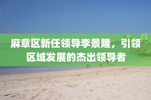 麻章區(qū)新任領(lǐng)導(dǎo)李景隆，引領(lǐng)區(qū)域發(fā)展的杰出領(lǐng)導(dǎo)者