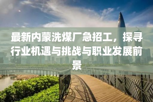 最新內(nèi)蒙洗煤廠急招工，探尋行業(yè)機(jī)遇與挑戰(zhàn)與職業(yè)發(fā)展前景