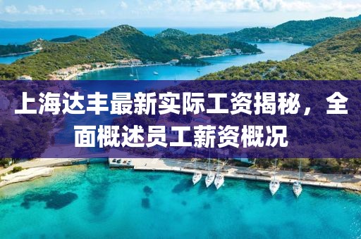 上海達(dá)豐最新實(shí)際工資揭秘，全面概述員工薪資概況