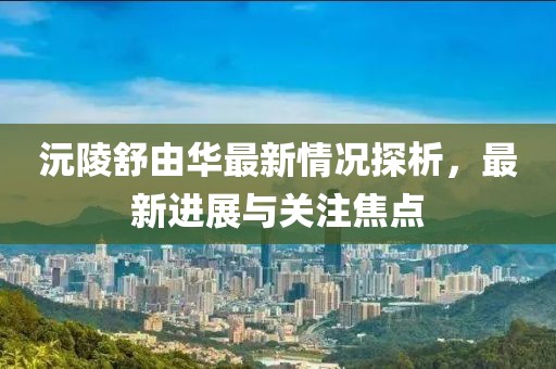 沅陵舒由華最新情況探析，最新進展與關注焦點