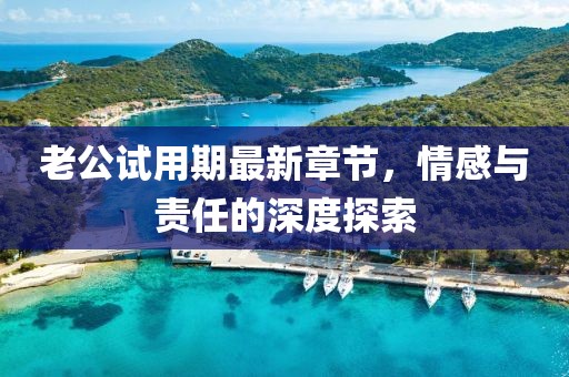 老公試用期最新章節(jié)，情感與責(zé)任的深度探索