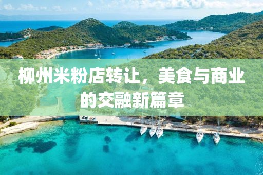 柳州米粉店轉(zhuǎn)讓，美食與商業(yè)的交融新篇章