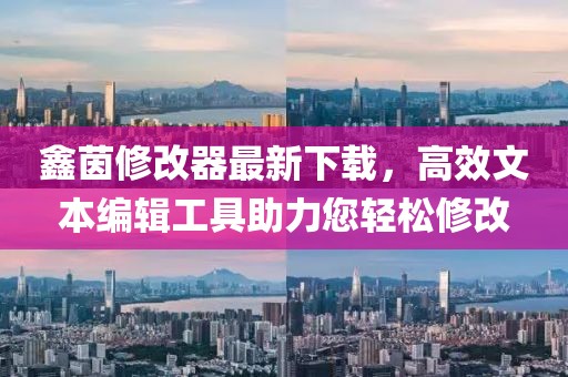 鑫茵修改器最新下載，高效文本編輯工具助力您輕松修改