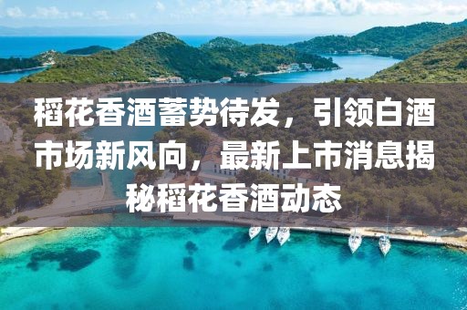 稻花香酒蓄勢待發(fā)，引領(lǐng)白酒市場新風(fēng)向，最新上市消息揭秘稻花香酒動態(tài)