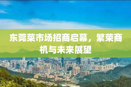 東莞菜市場招商啟幕，繁榮商機與未來展望