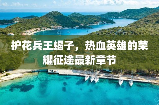 護花兵王蝎子，熱血英雄的榮耀征途最新章節(jié)
