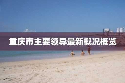 重慶市主要領(lǐng)導(dǎo)最新概況概覽