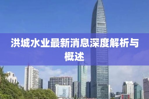 洪城水業(yè)最新消息深度解析與概述