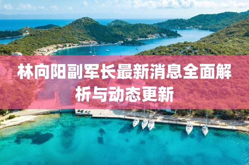 林向陽副軍長最新消息全面解析與動(dòng)態(tài)更新