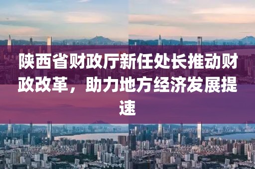 陜西省財(cái)政廳新任處長推動(dòng)財(cái)政改革，助力地方經(jīng)濟(jì)發(fā)展提速