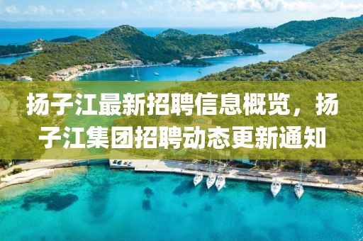 揚(yáng)子江最新招聘信息概覽，揚(yáng)子江集團(tuán)招聘動(dòng)態(tài)更新通知