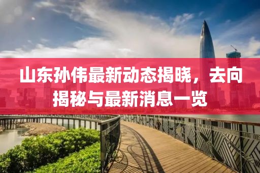 山東孫偉最新動(dòng)態(tài)揭曉，去向揭秘與最新消息一覽