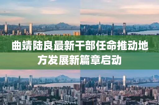 曲靖陸良最新干部任命推動(dòng)地方發(fā)展新篇章啟動(dòng)