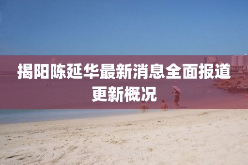 揭陽陳延華最新消息全面報道更新概況