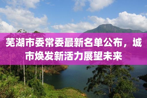 蕪湖市委常委最新名單公布，城市煥發(fā)新活力展望未來