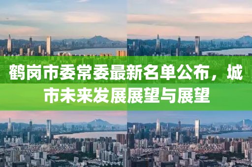 鶴崗市委常委最新名單公布，城市未來(lái)發(fā)展展望與展望