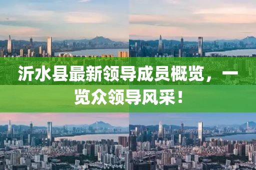 沂水縣最新領(lǐng)導(dǎo)成員概覽，一覽眾領(lǐng)導(dǎo)風(fēng)采！