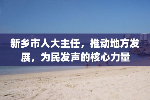 新鄉(xiāng)市人大主任，推動地方發(fā)展，為民發(fā)聲的核心力量