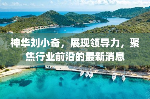 神華劉小奇，展現(xiàn)領(lǐng)導(dǎo)力，聚焦行業(yè)前沿的最新消息