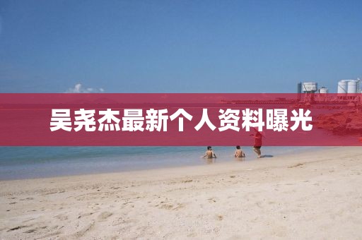 吳堯杰最新個(gè)人資料曝光