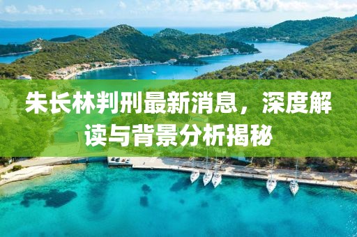 朱長(zhǎng)林判刑最新消息，深度解讀與背景分析揭秘