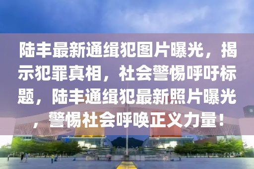 陸豐最新通緝犯圖片曝光，揭示犯罪真相，社會警惕呼吁標題，陸豐通緝犯最新照片曝光，警惕社會呼喚正義力量！