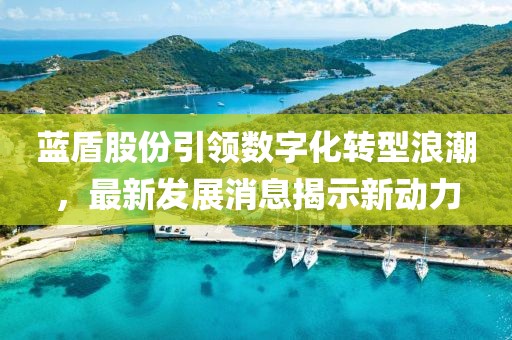 藍(lán)盾股份引領(lǐng)數(shù)字化轉(zhuǎn)型浪潮，最新發(fā)展消息揭示新動(dòng)力