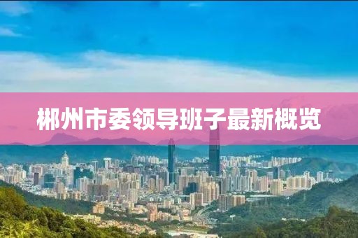 郴州市委領(lǐng)導(dǎo)班子最新概覽
