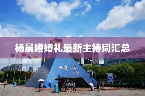 楊晨曦婚禮最新主持詞匯總