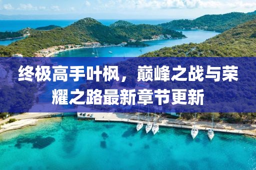 終極高手葉楓，巔峰之戰(zhàn)與榮耀之路最新章節(jié)更新