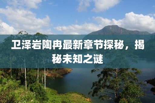 衛(wèi)澤巖陶冉最新章節(jié)探秘，揭秘未知之謎