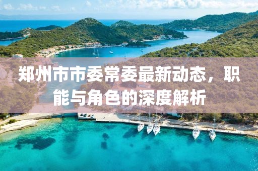 鄭州市市委常委最新動態(tài)，職能與角色的深度解析